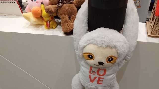 Roadshows & Events Rep 🛍️