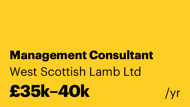 Management Consultant