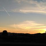 Andreea  avatar icon