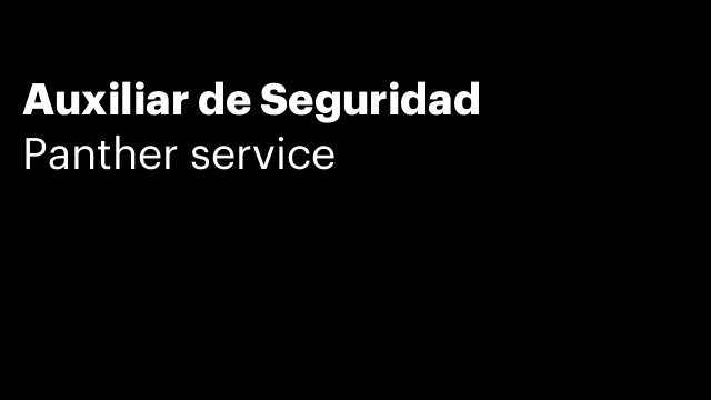 Auxiliar de Seguridad
