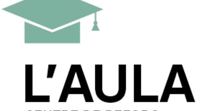 Profesor/a escuela de adultos