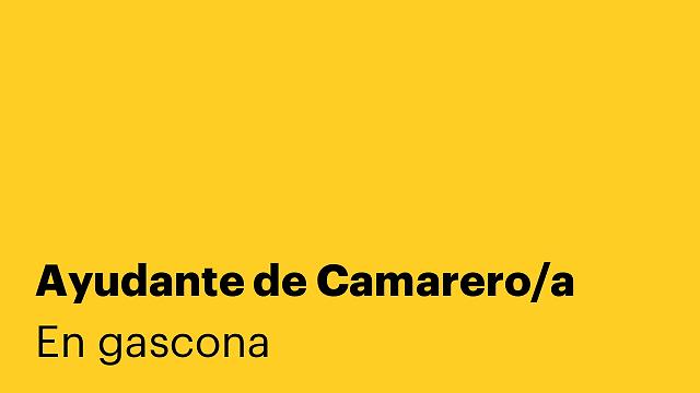 Ayudante de Camarero/a
