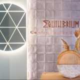 Equilibrium Skin Studio  logo