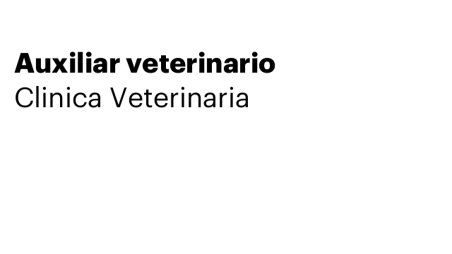 Auxiliar veterinario