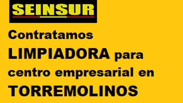 Limpiador/a