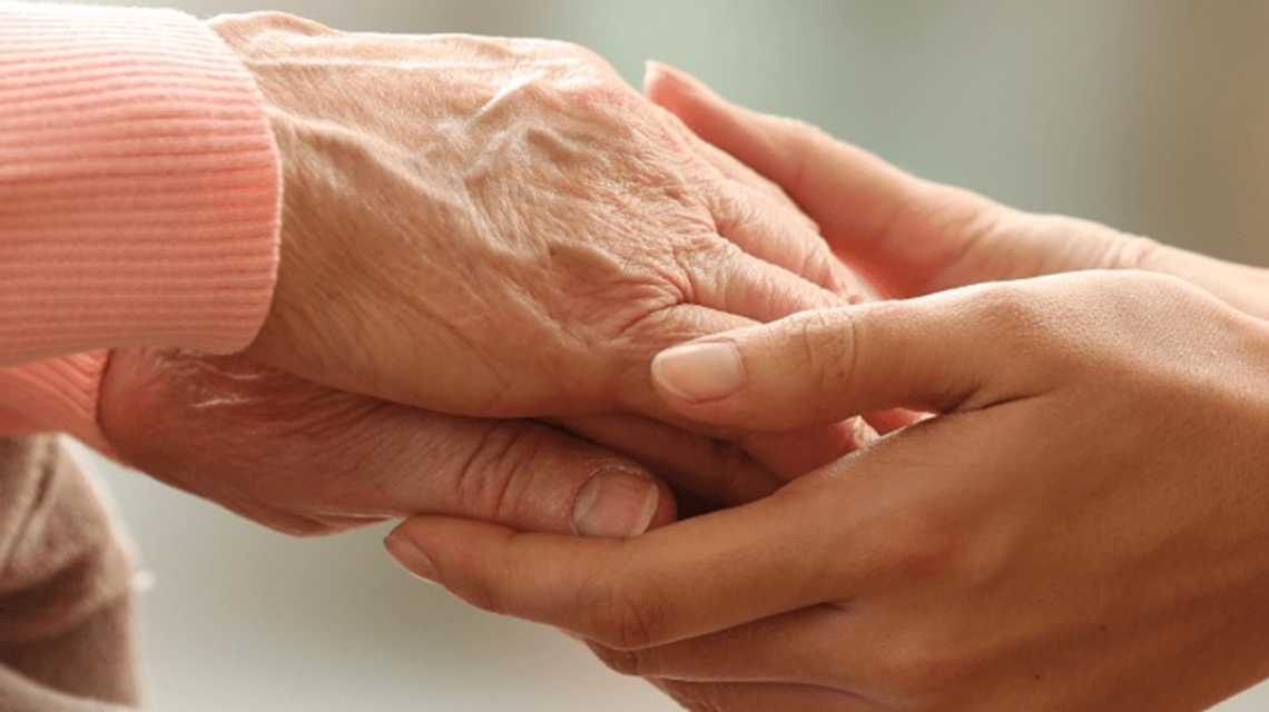 Fco Maya cover image