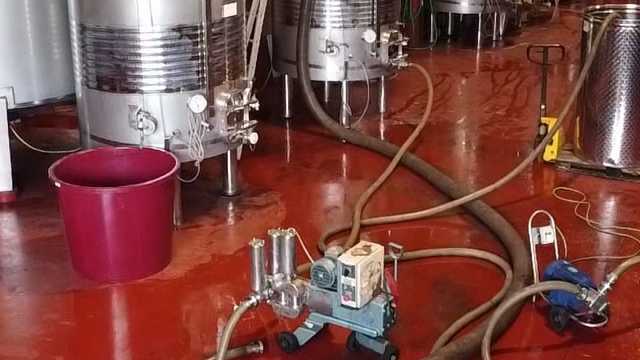 Peón bodega