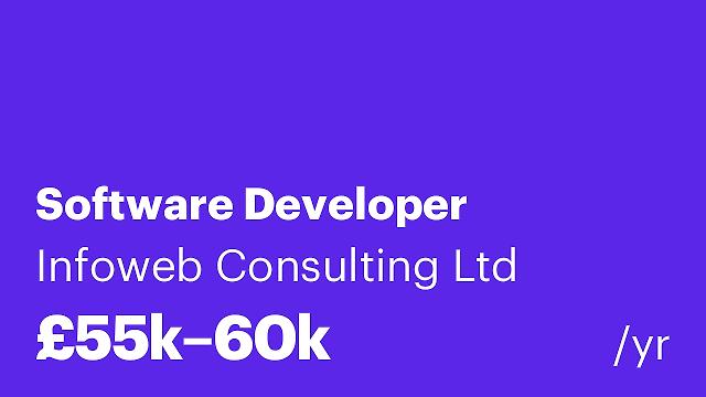Software Developer