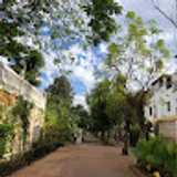 Juanjo P. avatar icon