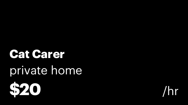 Cat Carer
