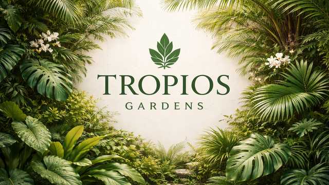 Ayudante/a de Marketing