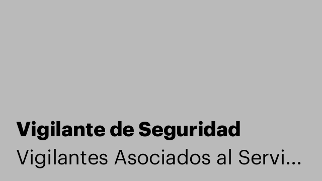 Vigilante de Seguridad