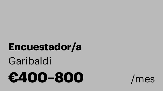 Encuestador/a
