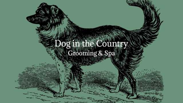 Independent Contractor - Level 3 Dog Groomer (Maternity Cover)