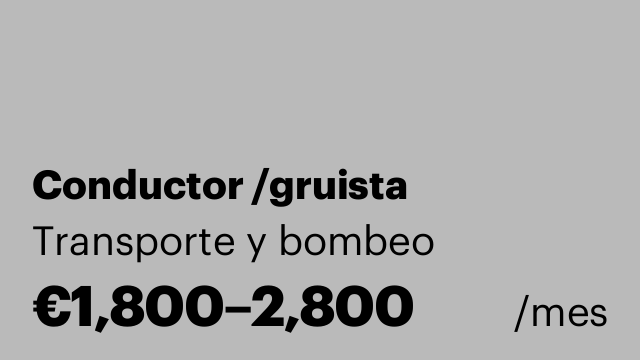 Conductor /gruista