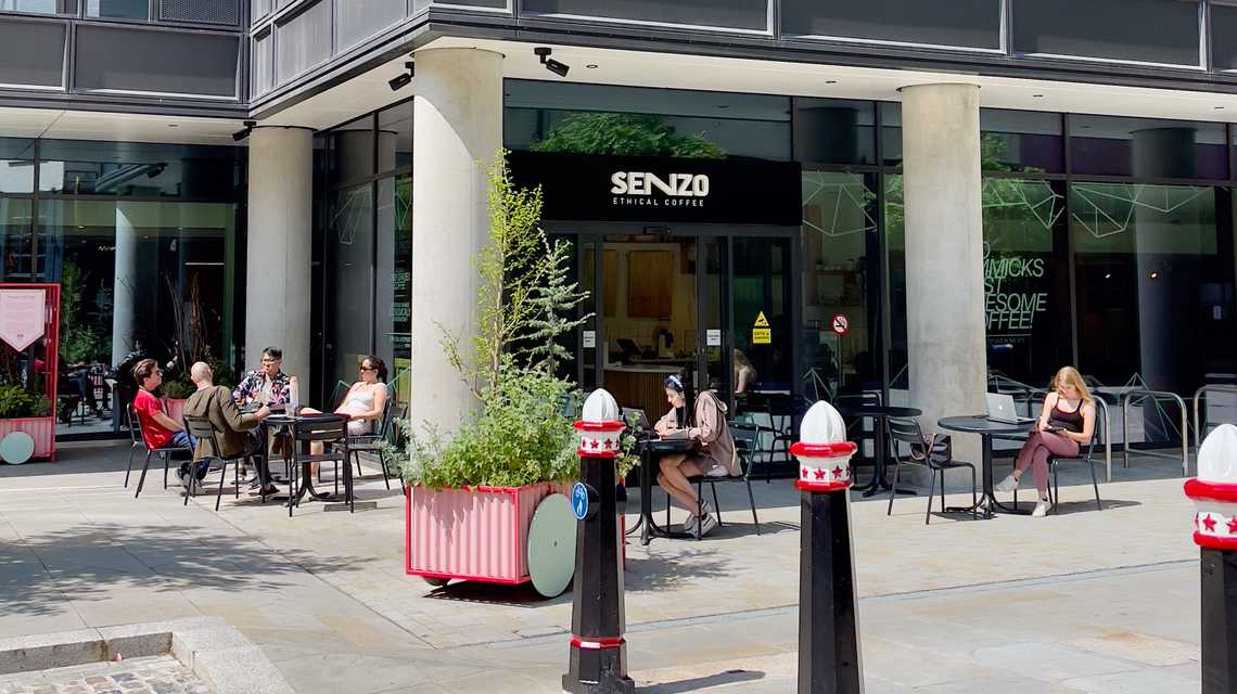 SENZO cover image