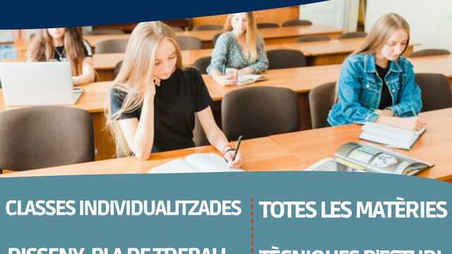 Auxiliar de profesor
