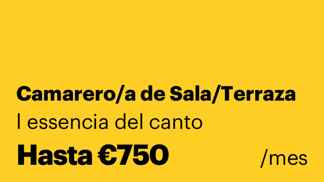 Camarero/a de Sala/Terraza
