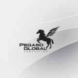 Pegaso Global Consulting avatar icon