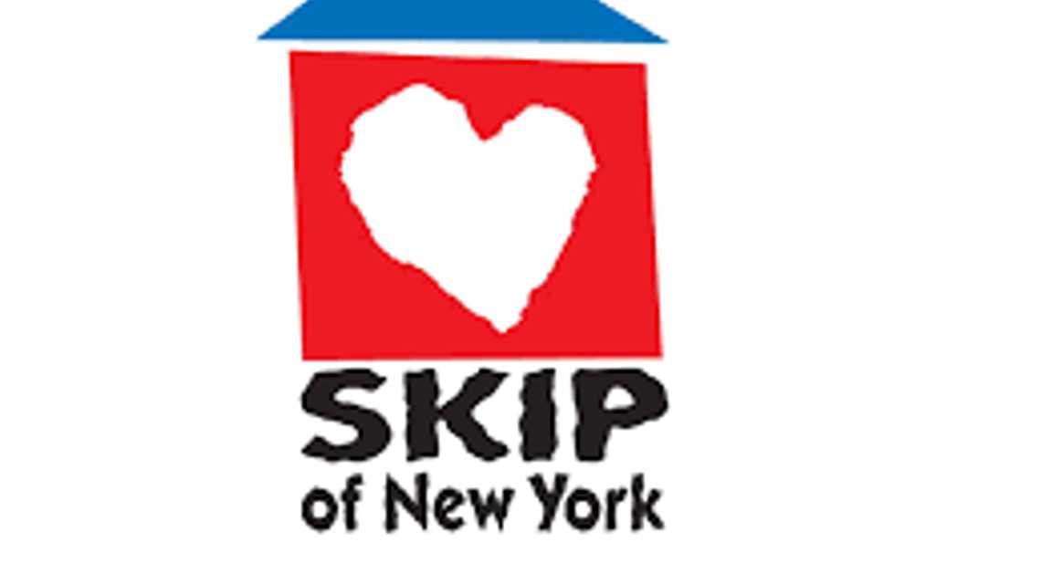 Skip of New York cover image