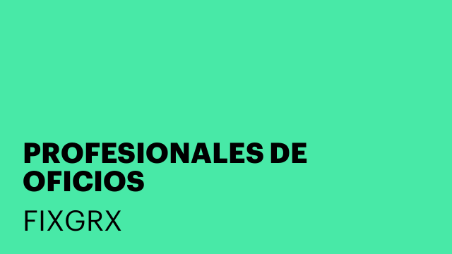 PROFESIONALES DE OFICIOS