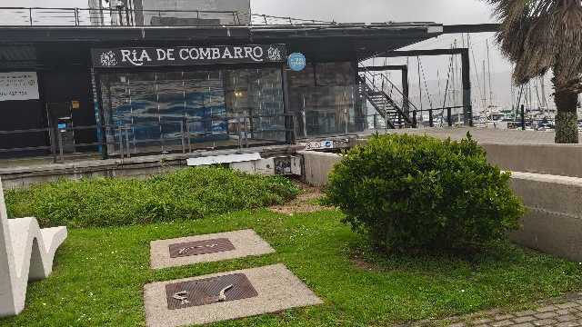 Ayudante de camarero y aprendiz