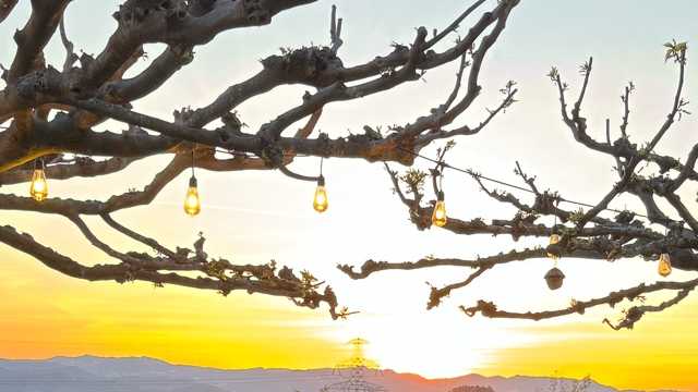 Camarero/a de Sala/Terraza