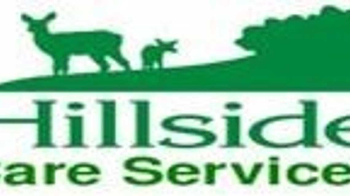 Hillside Care Services CIC cover image