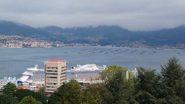 Ayudante de Camarero/a