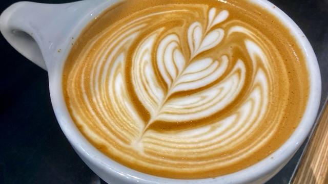Barista and Waiter / Waitress