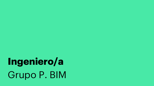 Ingeniero/a