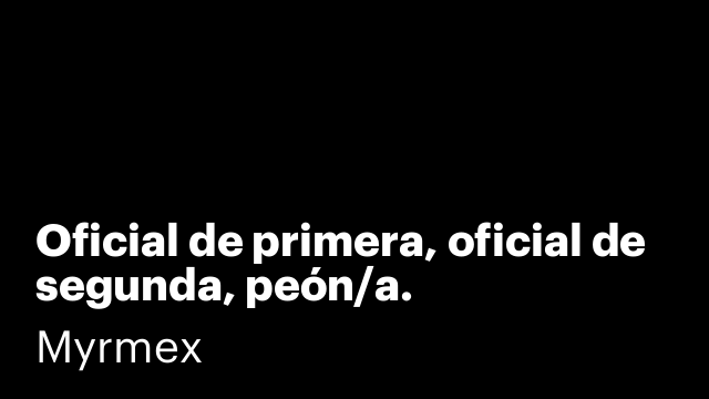 Oficial de primera, oficial de segunda, peón/a.