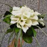 Floristeria M. avatar icon