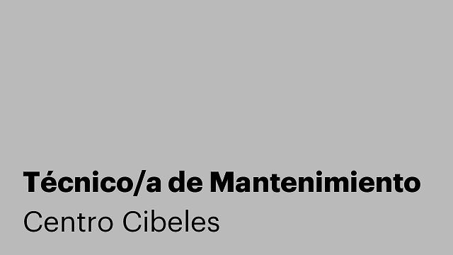Técnico/a de Mantenimiento