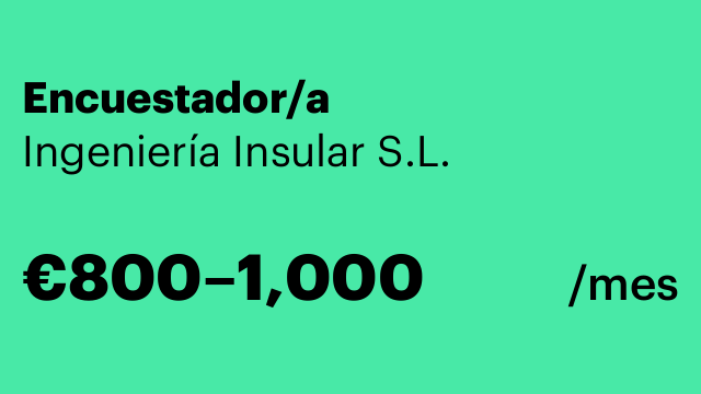Encuestador/a