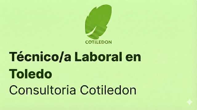 Técnico/a Laboral