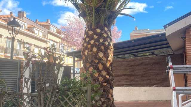 JARDINERO DE MANTENIMIENTO