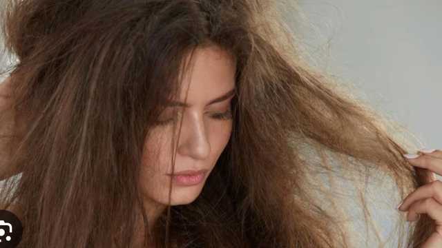 Modelo de Peluquería