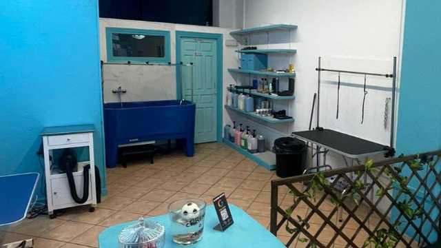 Peluquero canino