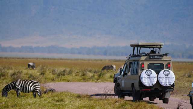 Asistente comercial y de viajes (sector turismo / safaris en África)