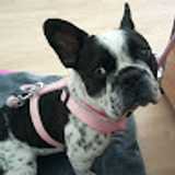 Mercedes G. avatar icon