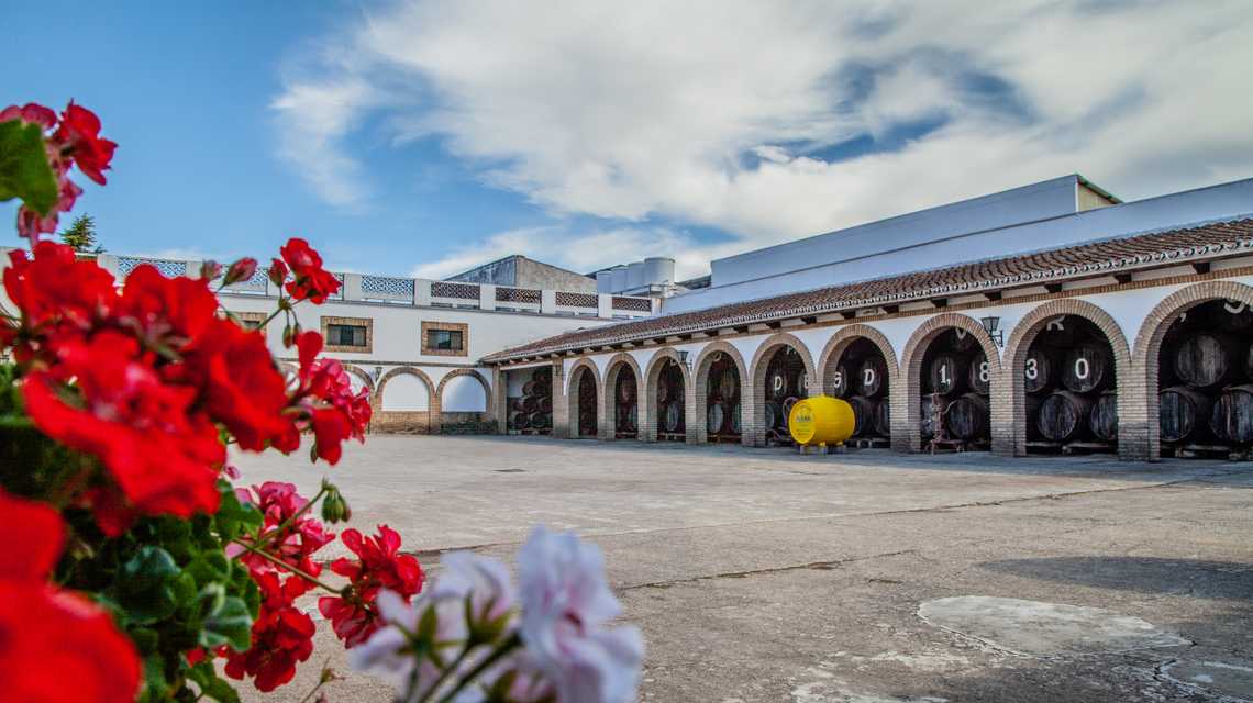 BODEGAS NAVARRO, S.A. cover image