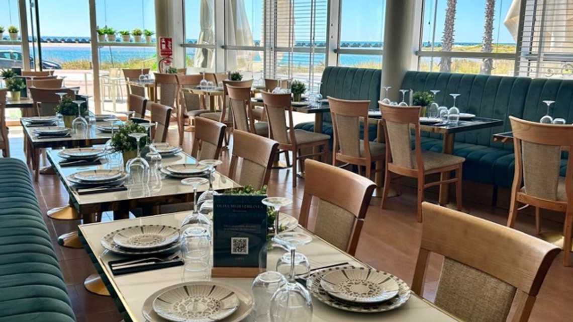 Oliva Mediterránea cover image