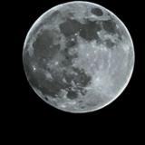 María G. avatar icon