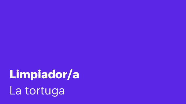 Limpiador/a