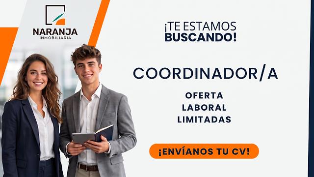 Coordinador/a