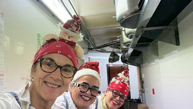 Limpieza pica, cocina y general