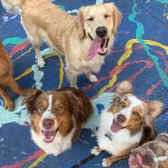 company photo