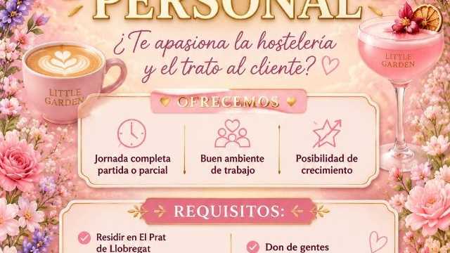 Camarero/a de Sala/Terraza