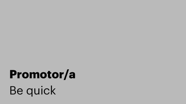 Promotor/a